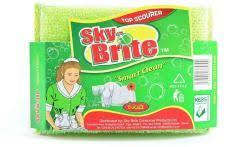 Skybrite Scrubber Shiny Sponge